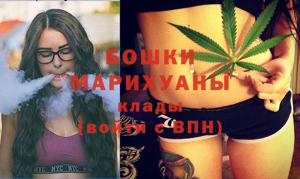 прущие грибы Навашино