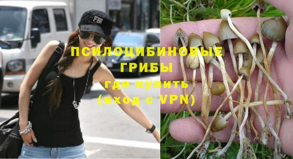 прущие грибы Навашино