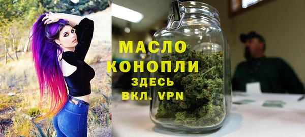 дмт Надым