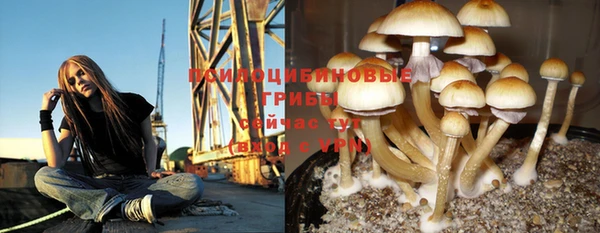 МДПВ Нефтекумск