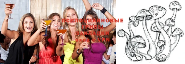 прущие грибы Навашино