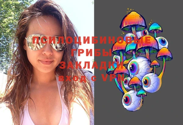 дмт Надым